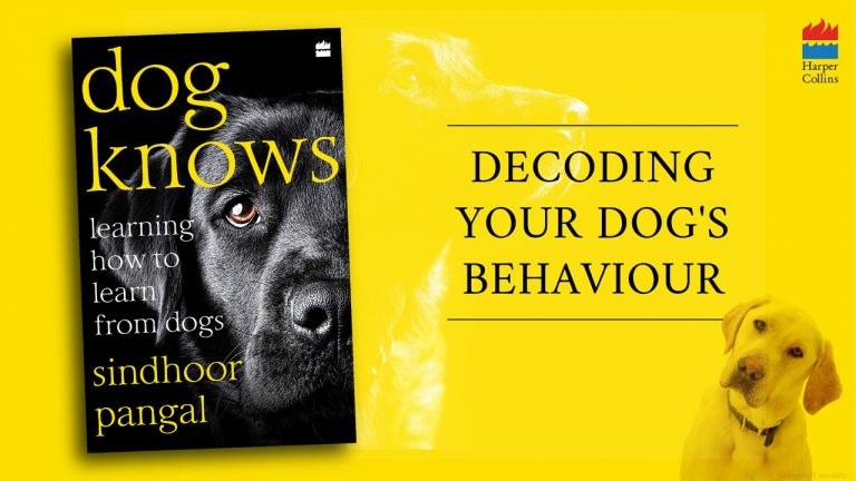 Dog Knows by Sindhoor Pangal