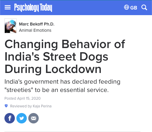Psychology Today article: Changing Behavior of India's Street Dogs During Lockdown