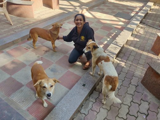 Sindhoor Pangal in the field with free-living dogs