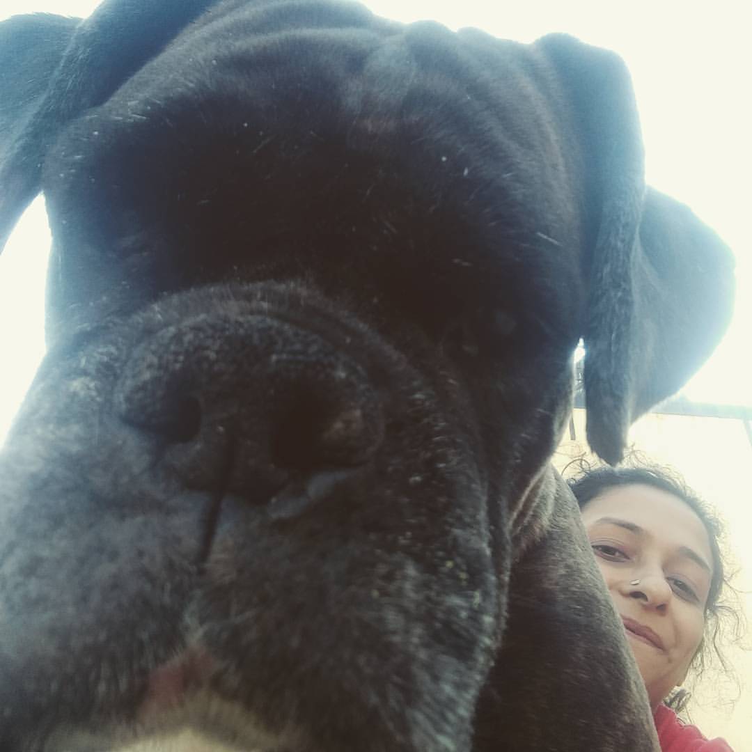 16601697_10154167949202021_3678224148490490956_o