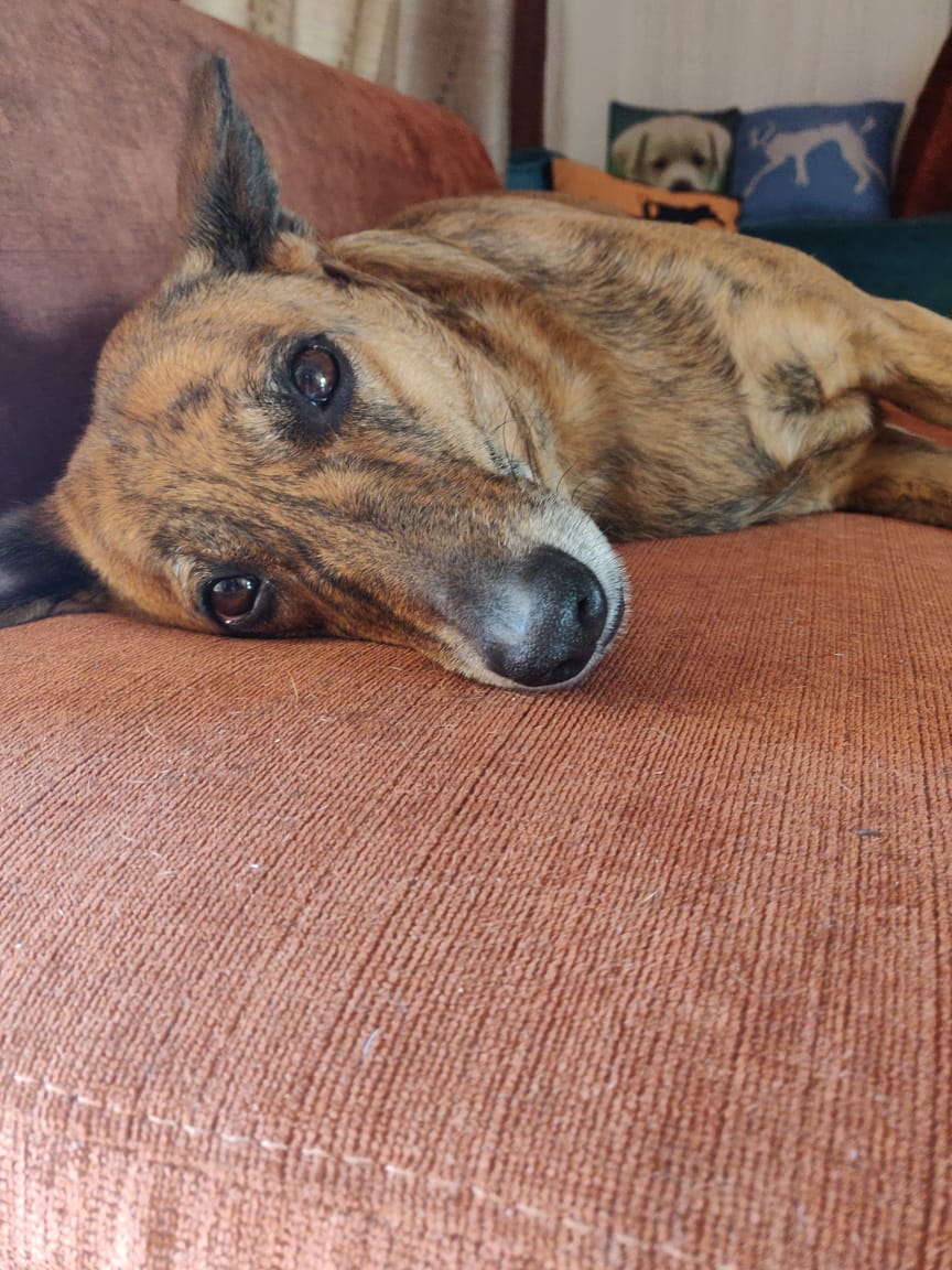 whatsapp image 2019-01-17 at 5.00.40 pm