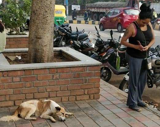 Streey eats in style